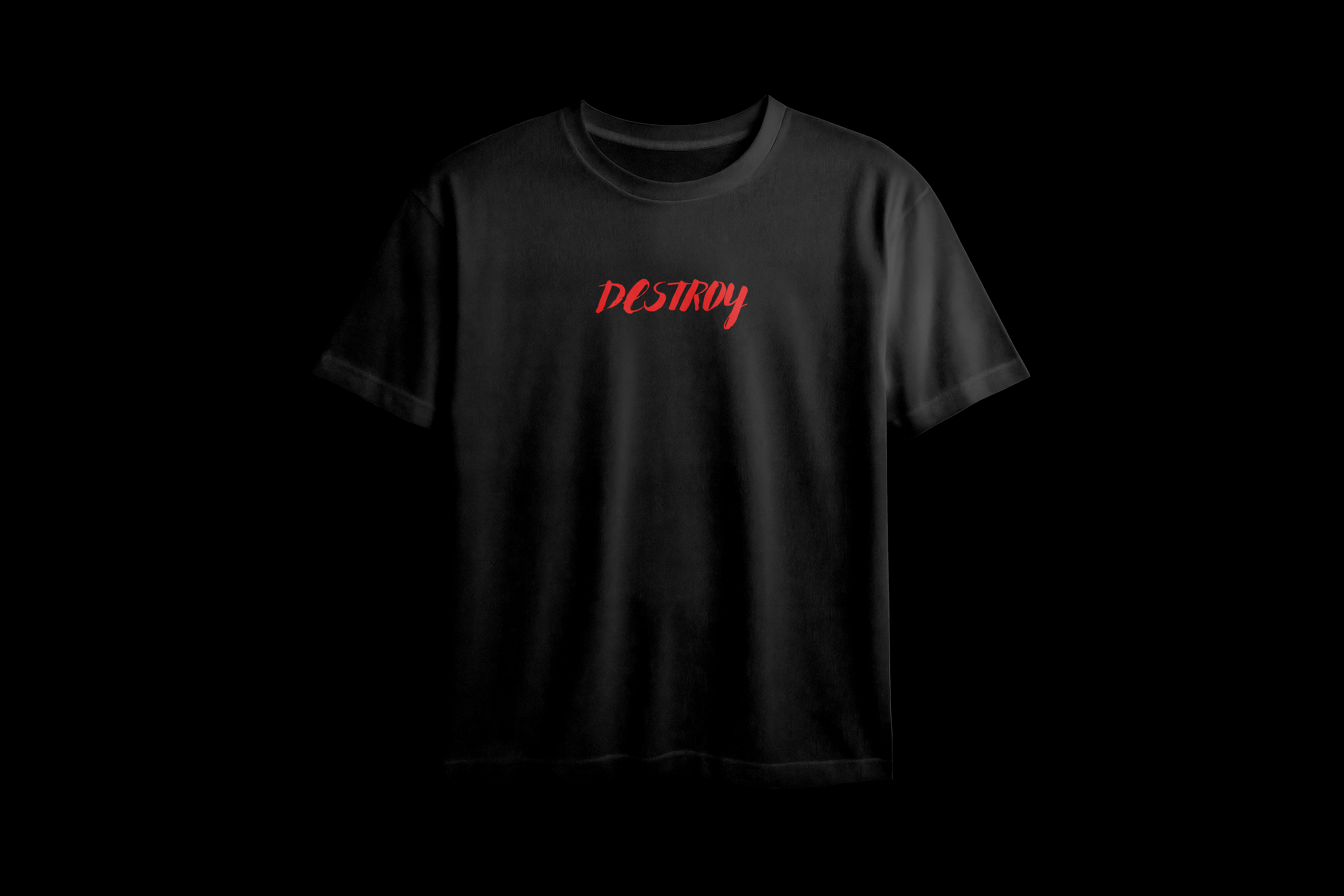 Destroy Printed Oversized Tee