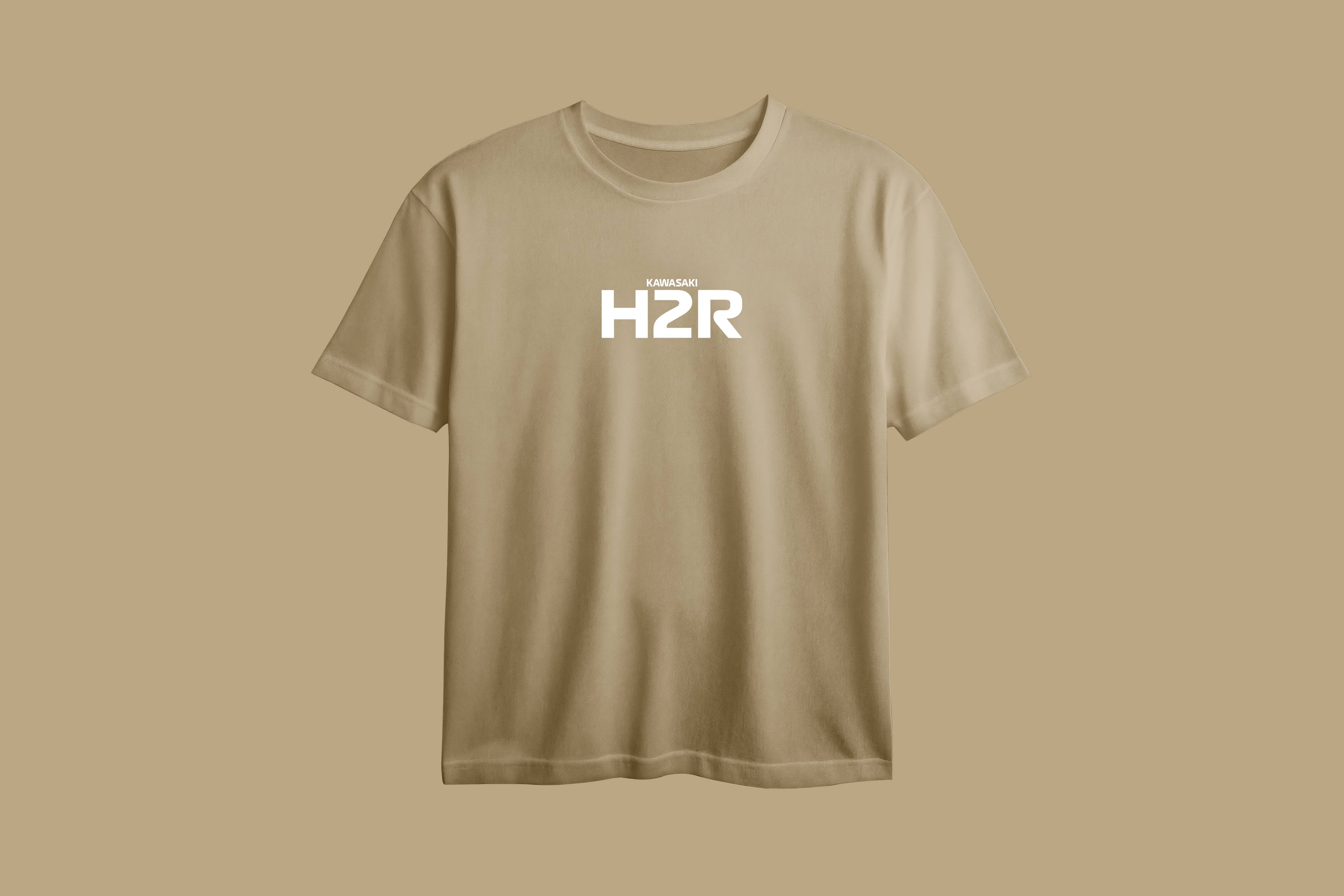KAWASAKI H2R Printed Oversized Tee